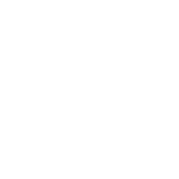 Defender